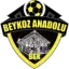 Tuzlaspor logo