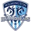Wilmington Hammerheads logo