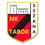 Tabor Sezana logo