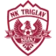 Triglav logo