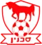 Bnei Sakhnin logo