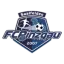 Pinzgau Saalfelden logo