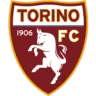 Torino logo