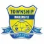 Township Rollers logo