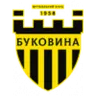 Bukovyna logo