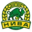 Nyva Ternopil logo