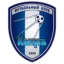 Kaluga logo