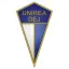 Unirea Dej logo