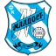 Mladost Lucani logo