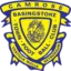 Basingstoke Town logo