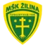 Zilina U19 logo