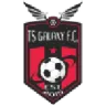 TS Galaxy logo