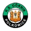 Gornik Polkowice logo