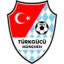 Turkgucu-Ataspor logo