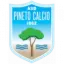 Pineto logo