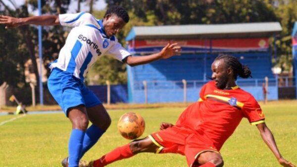 AFC Leopards crushes drowning Mount Kenya mean while Tusker denied three points by Zoo Kericho | FKF Premier League